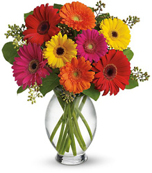 Gerbera Brights from Parkway Florist in Pittsburgh PA Gerbera Brights from Parkway Florist in Pittsburgh PA
